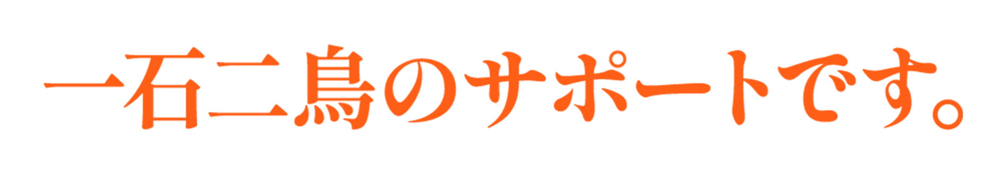 一石二鳥のサポートです。